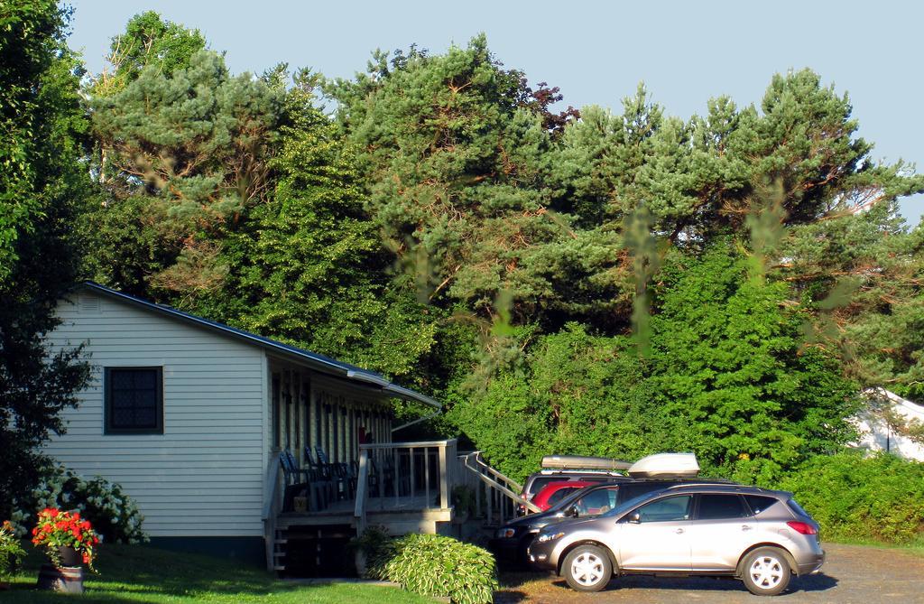 Basinview Motel Smiths Cove Kültér fotó