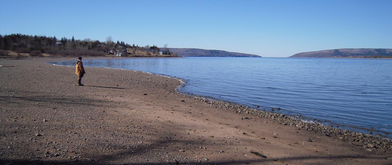 Basinview Motel Smiths Cove Kültér fotó